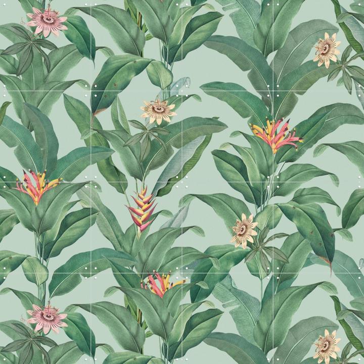 Tropical Jungle Climbing Leaves and passiflora flowers - mint