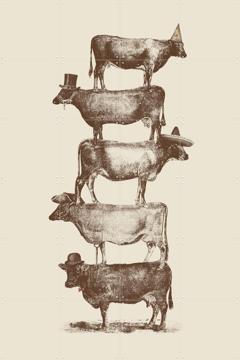 'Cow Cow Nuts' van Florent Bodart