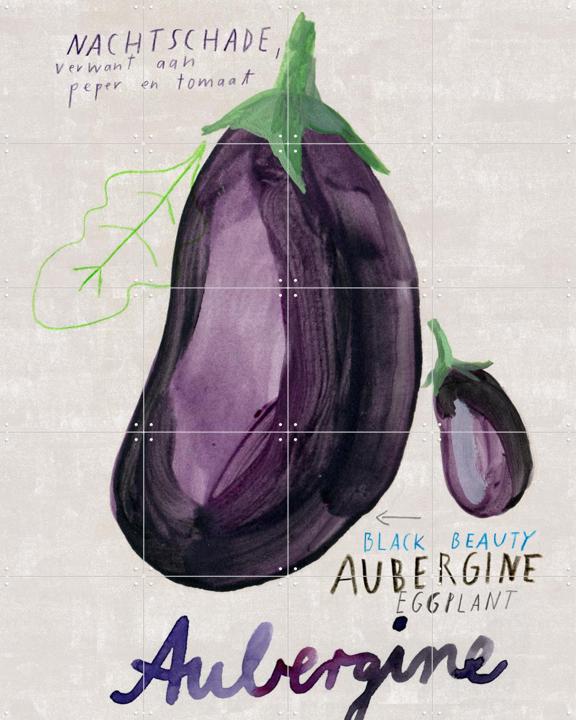 Aubergine NL