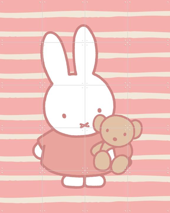 Nijntje met Beer Strepen