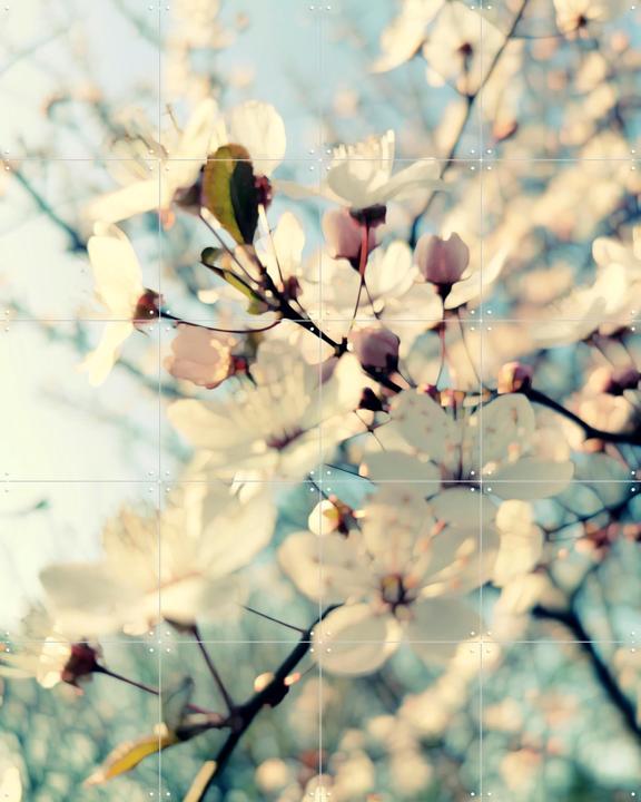 First Day of Spring