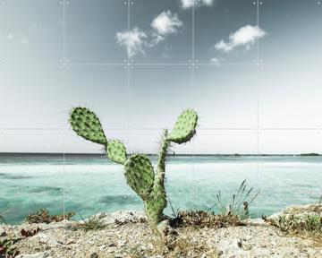 'Tropical Cactus' by Claire Droppert