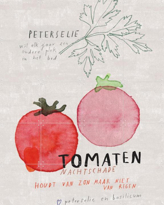 Tomaten NL