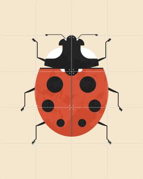 'The Ladybug' von Studio Kars + Boom