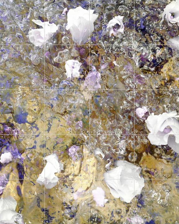 White Purple Gold