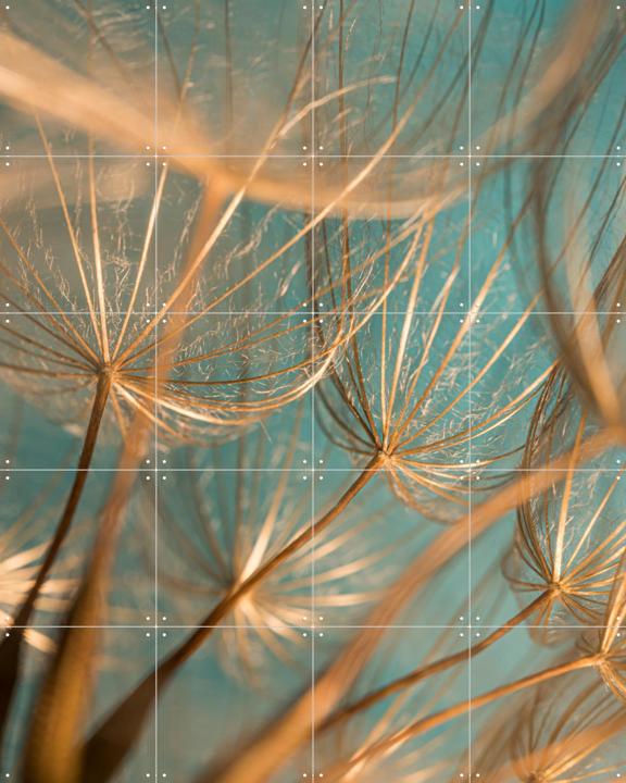 Van binnenuit een - gouden - pluizenbol