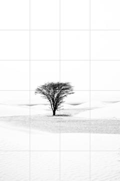 IXXI - Lonely Tree in the Desert by Photolovers 
