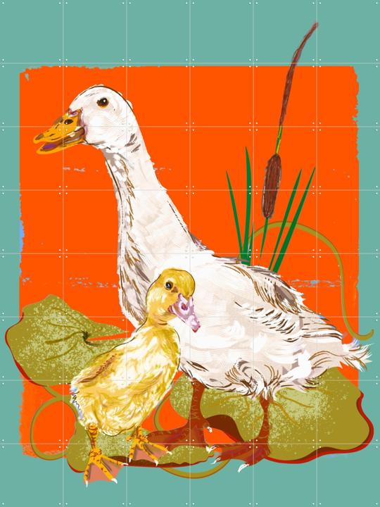 Peking Ducks Pond