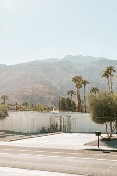 'Palm Springs' von Chris Abatzis