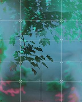 'Letting Go' by Amber Lauder