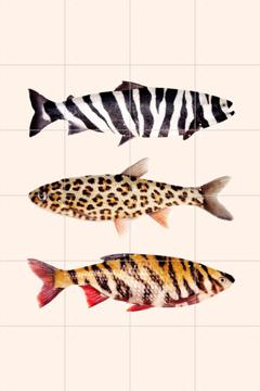 IXXI - Fish Prints door Paul Fuentes 