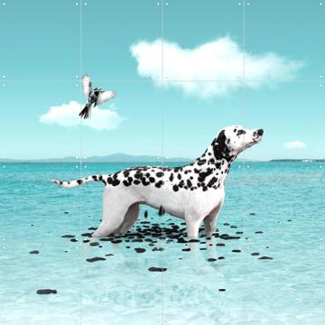 'Ephemeral' von Julien Tabet