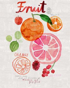 'Fruit' van Signorinah