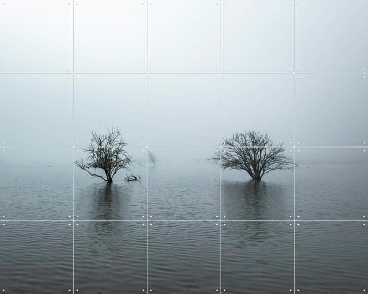 Whispering Tree Pair