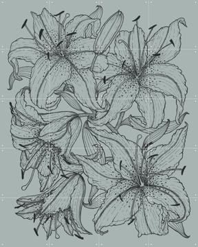 'Lilies Green' by Geertje Aalders