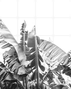 'Banana Tree' van Pati Photography