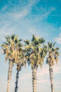 'Barcelona Palm Trees' van Pati Photography