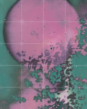 'Made Whole' by Amber Lauder