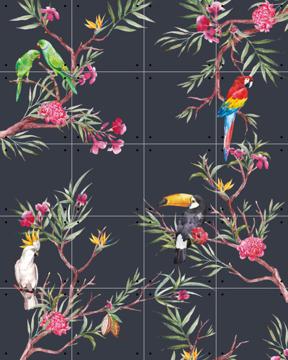 'A Bunch of Tropical Friends' by Creative Lab Amsterdam