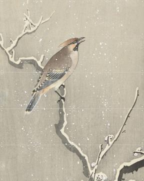 'Bird on a snowy branch' par Ohara Koson & Rijksmuseum