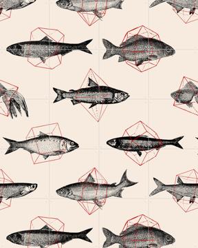 'Fishes in Geometrics' by Florent Bodart