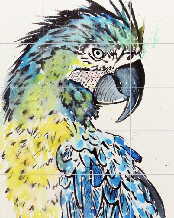The Blue Macaw Parrot
