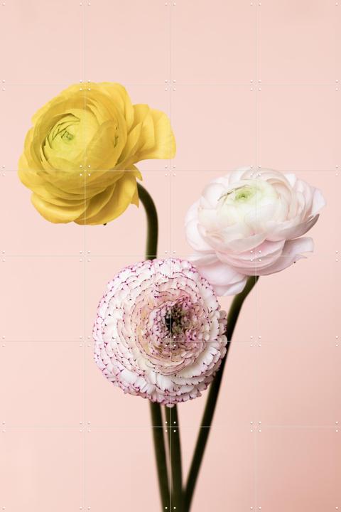 Three Flowers