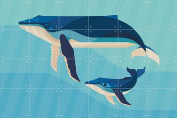 'Baleine à Bosse' par Elke Uijtewaal