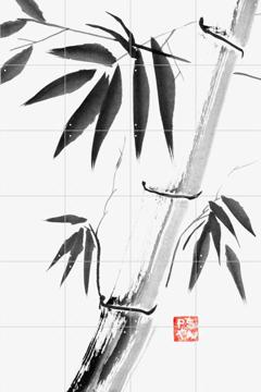 'Bamboo Clear Petit' par Péchane
