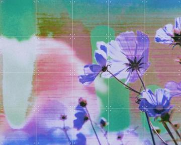 'Jubilance' by Amber Lauder