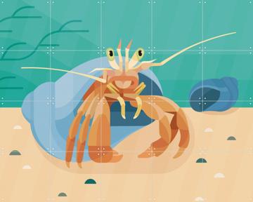 'Heremietkreeft' by Elke Uijtewaal