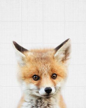 'Print 350 Fox' van Lila + Lola