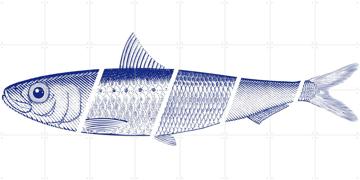 'Blue Fish' von Hip en Hanneke