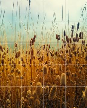 'Golden Hours' von Angelo Cerantola