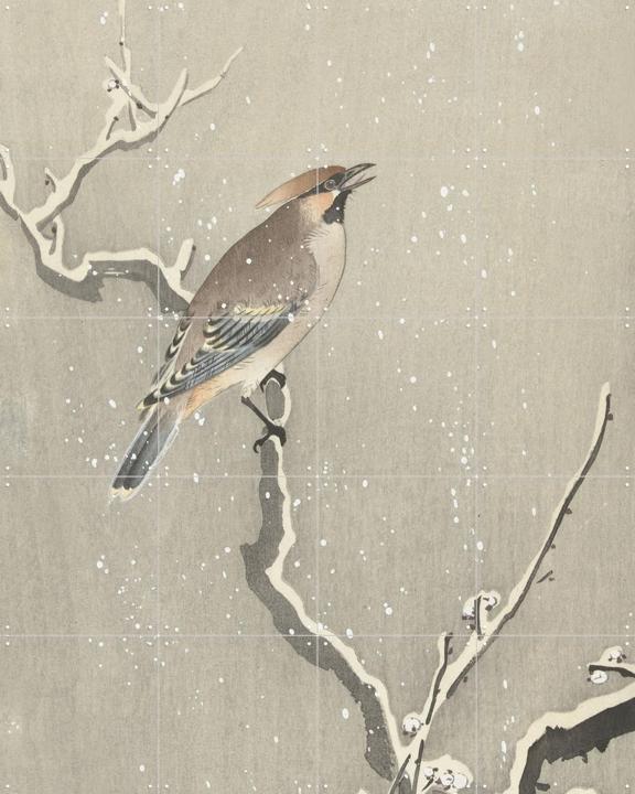 Bird on a snowy branch