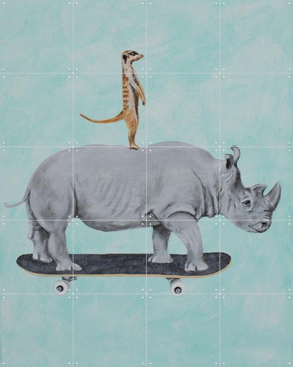 Rhinoceros and meerkat skateboarding