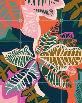 'Croton Bright' van Megan Gallagher