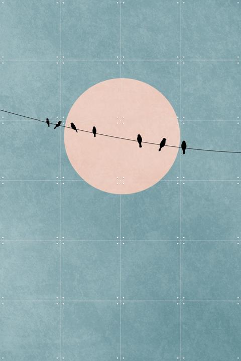 The Beauty of Silence