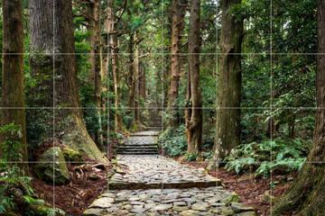 IXXI - Kumano Kodo Pilgrimage Route by Jan Becke 