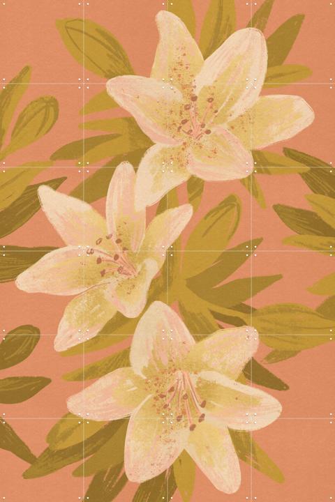 Lillies