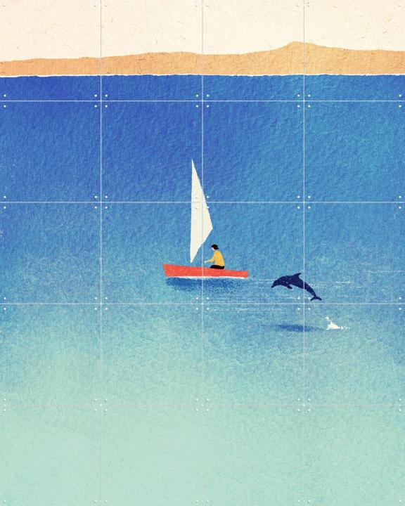 My Dolphin Friend