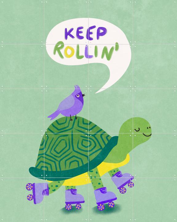 Turte With Bird - Keep Rollin