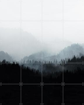 'Woods 5Y' von Mareike Böhmer