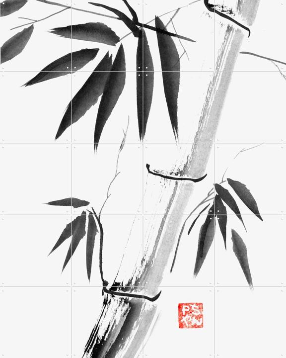 Bamboo Clear Petit