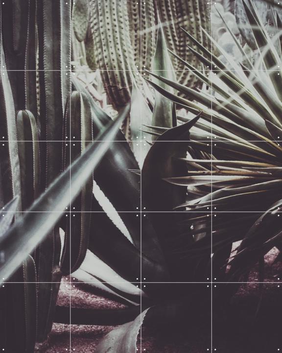 Polaroids From Saint Laurent 01