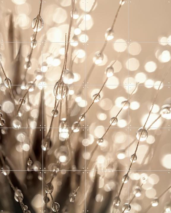 Abstractie in taupe - beige en grijs tinten  (Druppels aan een grasaren) 