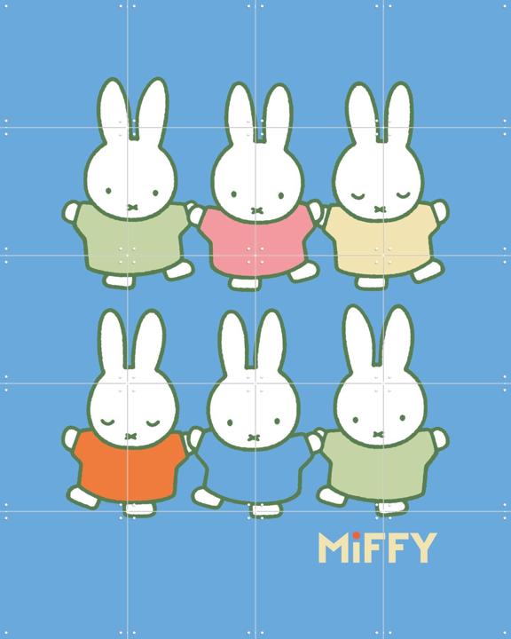 Miffy Rainbow