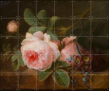 'Cabbage Rose' by Gerard van Spaendonck & Het Noordbrabants Museum