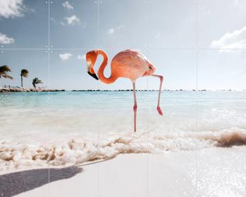 'Flamingo - Strike a Pose' by Claire Droppert