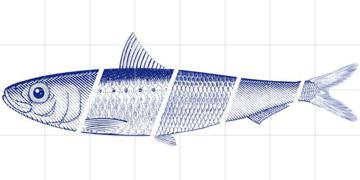 IXXI - Blue Fish von HipenHanneke 